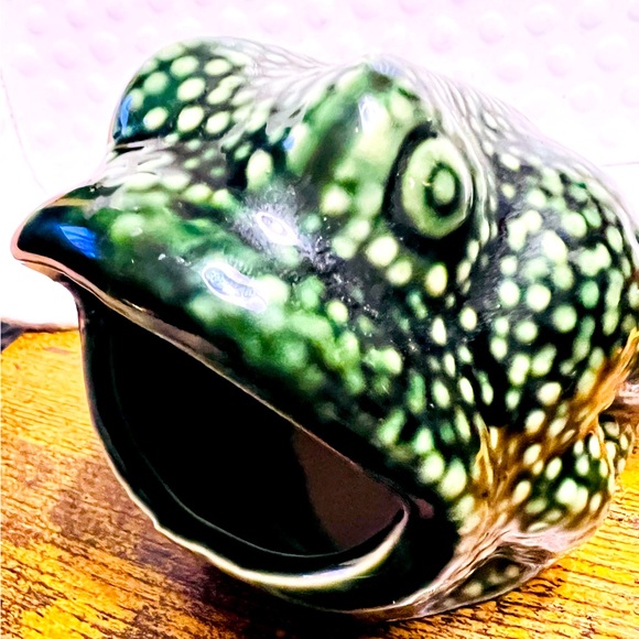 Other - Vintage Ceramic Green Bumpy Big Mouth Frog Scrubber Sponge Holder 1970's